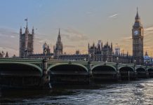 TBI Names Leopoldo UK Director of Sales